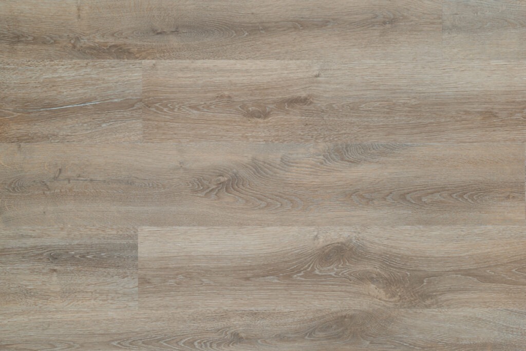 Sequoia
